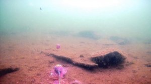 ПОЧЕМУ РЫБА НЕ КЛЮЕТ??? ВИДЕО РЫБАЛКА