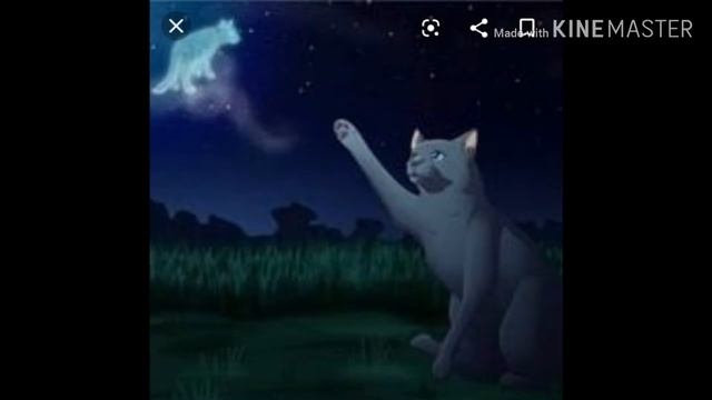 Сумна історія Сіросмуга і Срібнострумки. смотреть онлайн