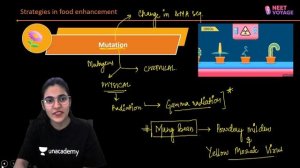 Why Do We Need Plant Breeding? | Strategies In Food Enhancement L2 | NEET Voyage | Komal Yadav