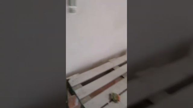 Ремонт-квартиры дом хостел… смотреть онлайн