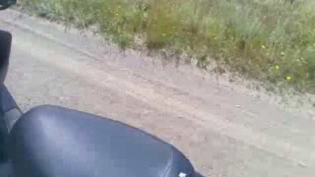 хонда дио 27 смотреть онлайн