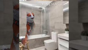 Короче говоря паук WildCraft читать  описание