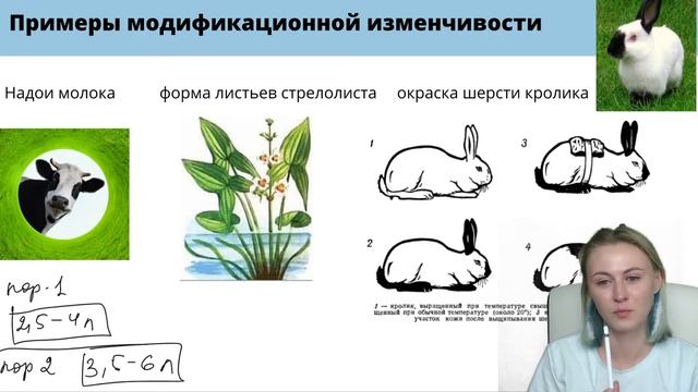 Половое и бесполое размножение! Изменчивость | ЕГЭ по биологии | Летняя школа |100балльный репетито смотреть онлайн