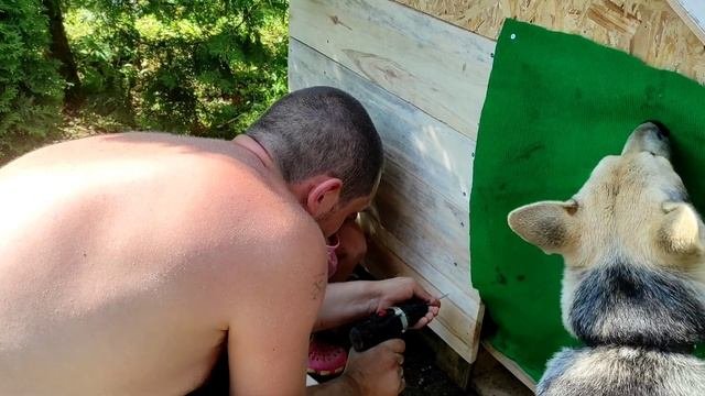 Будка для собаки. Шикарная будка своими руками))