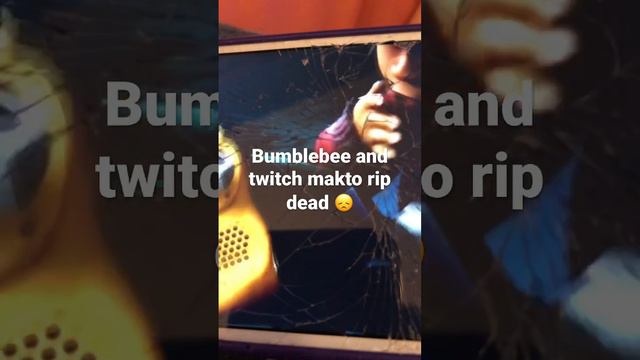 Bumblebees and twitch malto rip death