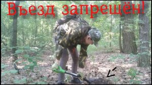 Коп 2019. Сосновый бор дарит находки!