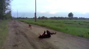 Приколы +100500   Джесси Пинкман