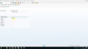 SAP HR Создание раздела персонала в SAP