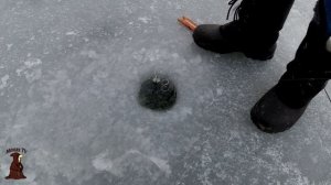 Первый Лёд! Зимняя рыбалка на реке Сок Сезон 2021 2022 Открыт! Щука и окунь на жерлицы и на баланси