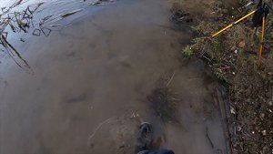 Ловля Окуня на Спиннинг | Graphiteleader Finezza Prototype