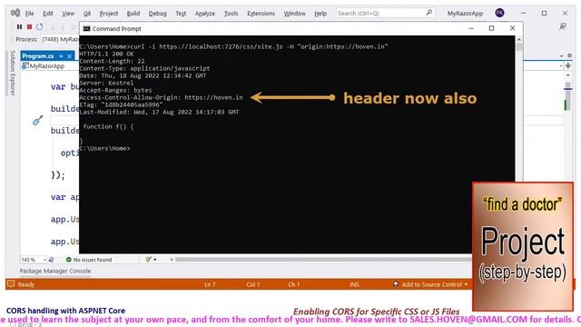 Enabling CORS for Specific CSS or JS Files | CORS with ASPNET Core