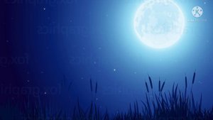 Клип «Птицы» Максим