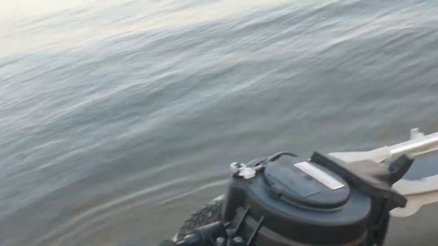 TARPON 9.9 (15) регулировка меток УОЗ.