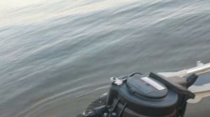 TARPON 9.9 (15) регулировка меток УОЗ.