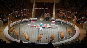 Цирк - Империя львиц