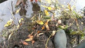 Ловля Щуки осенью на Воблеры. Щучий пруд. Рыбалка 2019.