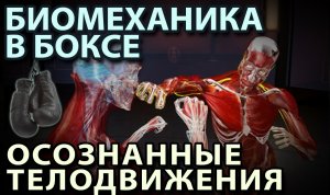 Биомеханика в БОКСЕ - Осознанные ТЕЛОДВИЖЕНИЯ.