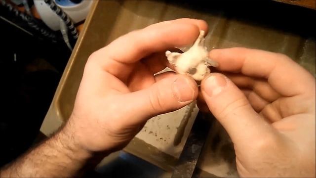 Резьба по кости (практика) кулон "Рысь" (Bone carving (practice) Lynx pendant). смотреть онлайн