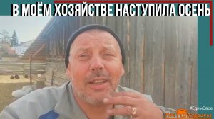 Мое хозяйство в сентябре: козы и козлы, бройлеры... "Мое Подворье"