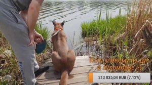 Прямой эфир 12 мая