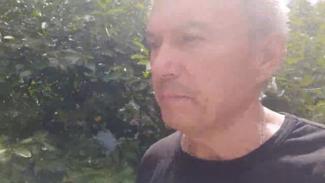 БГВ 211 Ячмень под глазом и Чёрная Львинка смотреть онлайн