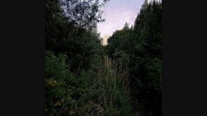 сборник песен лето 2023