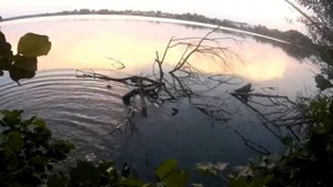 ?На #рыбалку - на скутере ? Honda Lead.