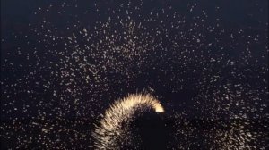 ФУТАЖ Фейерверк Искры 1