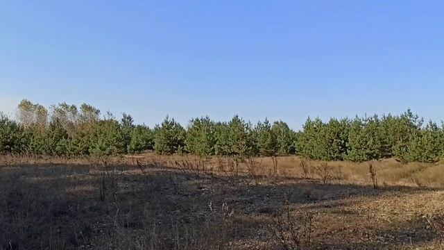 Донецкая обл., Прелестное - Сосновый Лес. смотреть онлайн