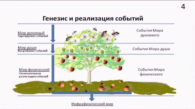 Интегральная биолокация в энергоинформационной коррекции организма.i