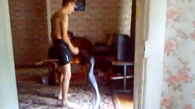 Пылисос