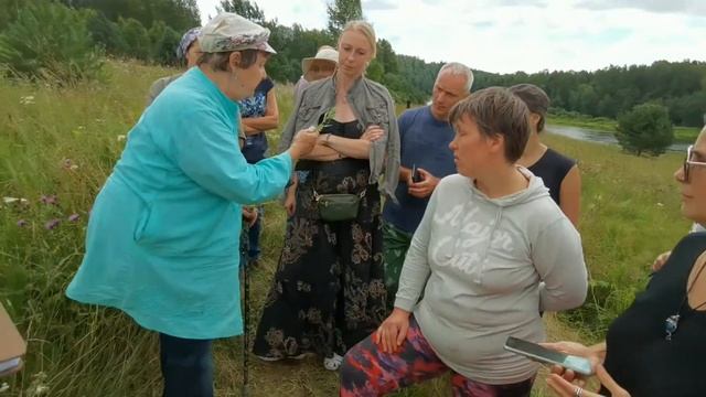 Полынь обыкновенная  или  чернобыльник