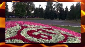 Песня "Над поклонной горой" заставка к танцу и минута молчания .