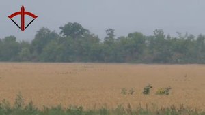 Морпехи из 810-й Бригады Черноморского Флота РФ | © 2022