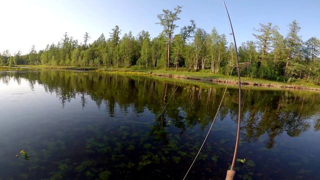 Рыбалка на любимой реке. Часть вторая.