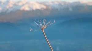 PLUS BELLE VUE SUR GRENOBLE | Edit 4K