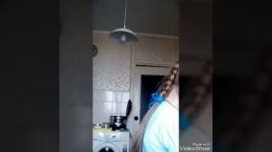 Как одеть шлейку на собаку?