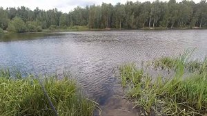 Саламандра УЛ 702 (Silver Stream Salamander-UL SU702UL 2-11), воблерки, утка, шнурки, матросы.