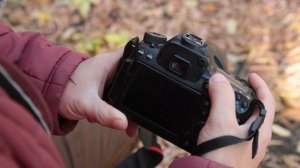 Обзор на Canon 70D (первая камера с системой Dual pixel)