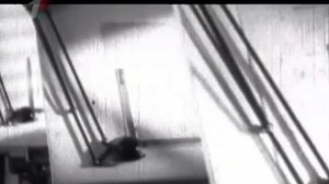 Автоматические винтовки АВС и СВТ