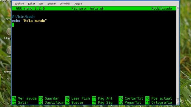 hola mundo en bash v1 смотреть онлайн