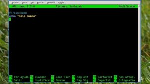 hola mundo en bash v1