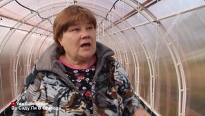 ПЕРЕПРОБОВАЛА МНОГО СПОСОБОВ ПОДВЯЗКИ, ЭТОТ - ЛУЧШИЙ! ПОДВЯЗКА ТОМАТОВ.