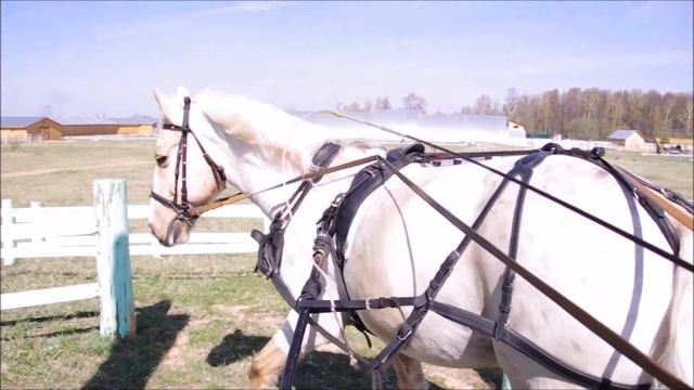 КСК 4 сезона смотреть онлайн