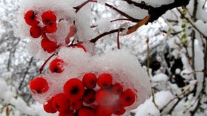 Не провожай! Муз Н Первиной,ст С Киларь.mp4 поет Г.Погорельская