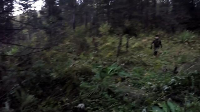 ?ОХОТА НА РЯБЧИКА ПРОВЕРКА СИЛКОВ РЕЗУЛЬТАТ ПОРАДОВАЛ.