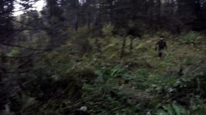 ?ОХОТА НА РЯБЧИКА ПРОВЕРКА СИЛКОВ РЕЗУЛЬТАТ ПОРАДОВАЛ.