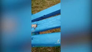 СМЕШНАЯ ПОДБОРКА ВИДЕО С ТИК ТОКА, 2022 TIK TOK, ПРИКОЛЫ ПО РУССКИ