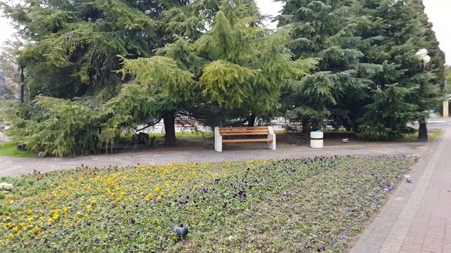 Лазаревское 2020,  Лазаревское улицы,, Лазаревское частный сектор, улицы,Лазаревское гостевые дома.