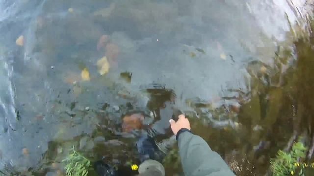 Рыбалка на Енисее, Туруханск, июнь2017 смотреть онлайн